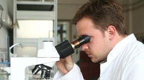 Tecnología de procesos