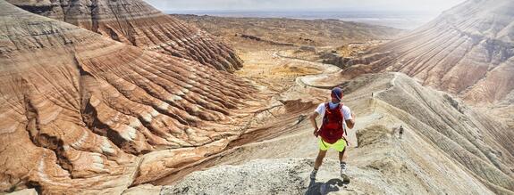 Ferrum Dosenverschliesser Anwendungen