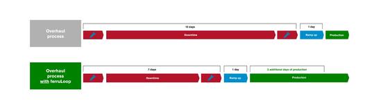 ferruloop overhaul process